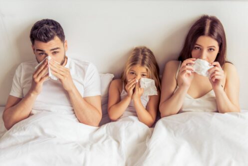 Indoor air quality services in Erie, PA